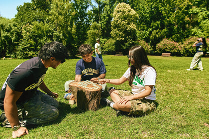 SEEDS — Polera Negra para el día a día