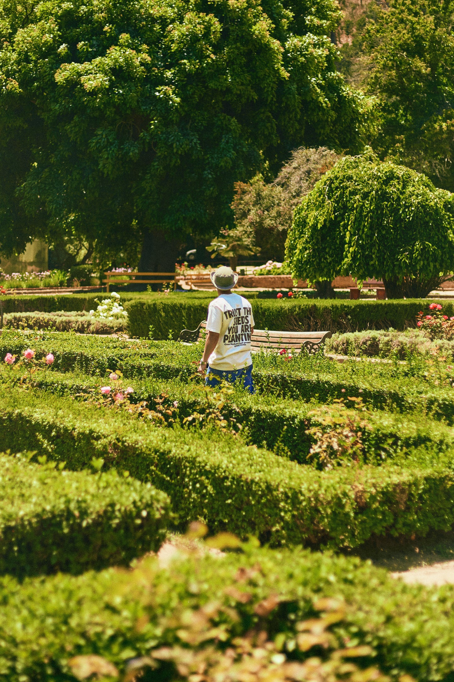 SEEDS — Polera Crema para el día a día